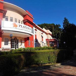 Hotel Platanus